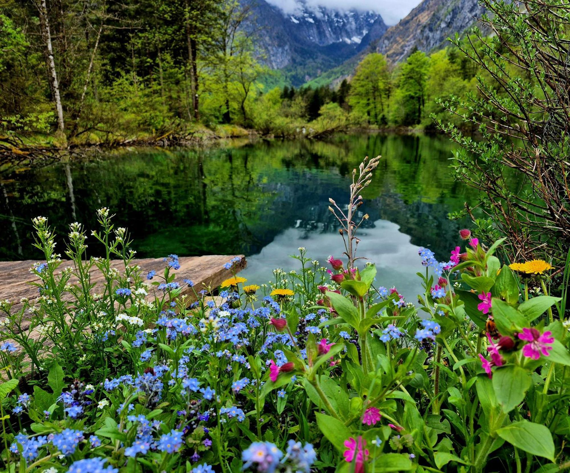 Ferienlounge Bluntausee Golling an der Salzach Exteriér fotografie